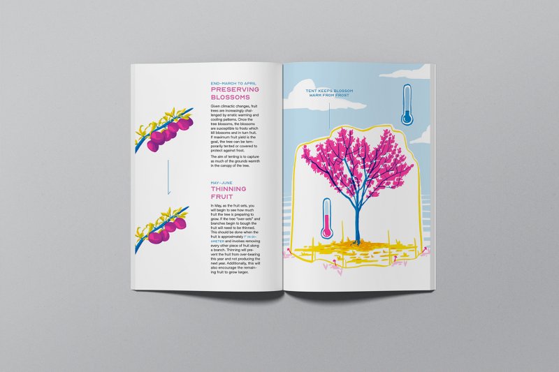 Tree of 40 Fruit Care Guide - Image 1